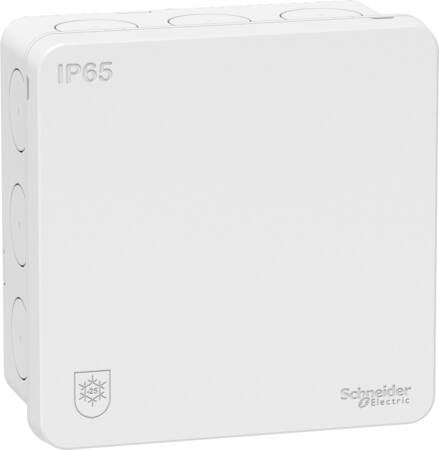 Forgreningsdåse Mureva Ip65 Hvid ⎮ 3606481297914 ⎮ 9139138129 ⎮ 9139138129 ⎮