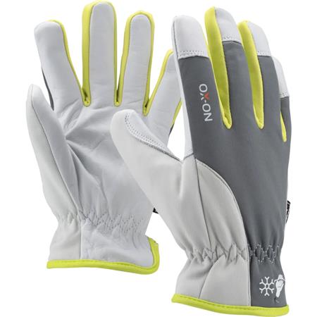 Vinterhandsker Supreme 3600 S.10 ⎮ 5701952197507 ⎮ 988000201 ⎮ 5497117051 ⎮