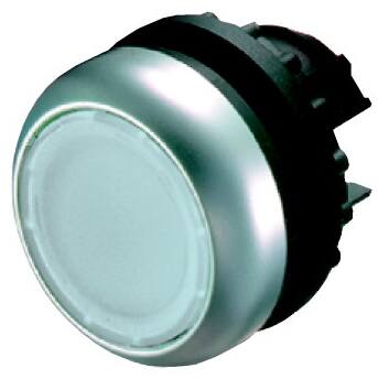 Trykknap, Ø 22 Mm, Plastic, Hvid, Ip67 ⎮ 4015082169220 ⎮ 5422569166 ⎮ 5422569166 ⎮ 216922