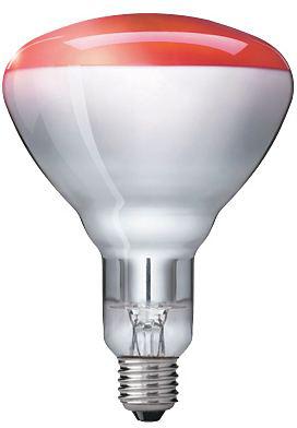 Ir250W Rh Br125 E27 230-250V ⎮ 8711500575210 ⎮ 2050260380 ⎮ 2050260380 ⎮ 923212043801