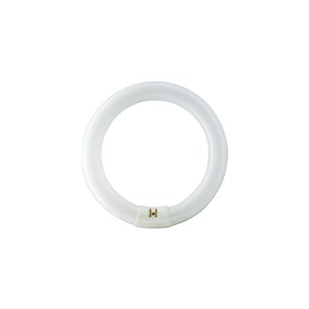 Lysrør Tl-E Circular 22W/840 1C ⎮ 2051505536 ⎮ 2051505536 ⎮ 2051505536 ⎮ 928026284070