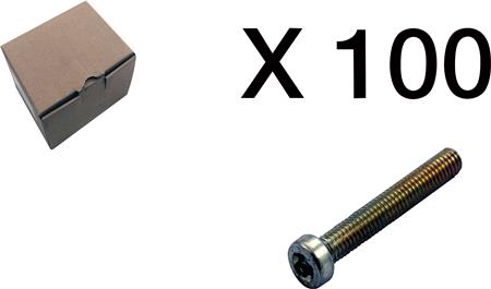 Cylinderskrue, Torx, Lavt Hoved 100 Stk. ⎮ 5705100144122 ⎮ 1914820142 ⎮ 1914820142 ⎮ 3101-0630Q1