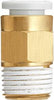 Male Connector Tube 12Mm Rc1/4 Brass+Enp