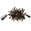 Chrissline 50L Extra Amber