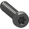 Blist Lk Fuga Torx10 Skrue F/Mon Ram